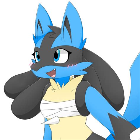 lucario hidden ability|pokemon female lucario.
